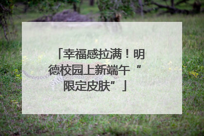幸福感拉满！明德校园上新端午“限定皮肤”