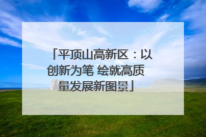 平顶山高新区：以创新为笔 绘就高质量发展新图景