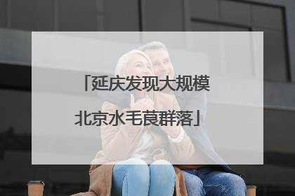 延庆发现大规模北京水毛茛群落