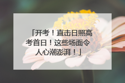 开考！直击日照高考首日！这些场面令人心潮澎湃！