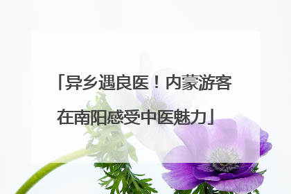 异乡遇良医！内蒙游客在南阳感受中医魅力