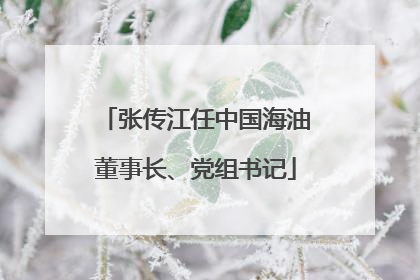 张传江任中国海油董事长、党组书记