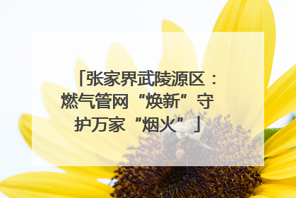 张家界武陵源区：燃气管网“焕新”守护万家“烟火”