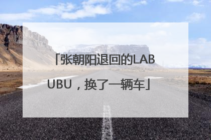 张朝阳退回的LABUBU，换了一辆车