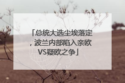 总统大选尘埃落定，波兰内部陷入亲欧VS疑欧之争
