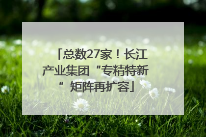 总数27家！长江产业集团“专精特新”矩阵再扩容