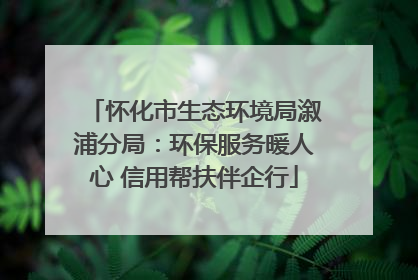 怀化市生态环境局溆浦分局：环保服务暖人心 信用帮扶伴企行