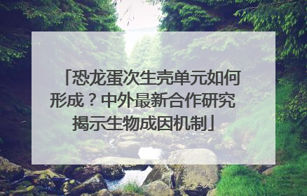 恐龙蛋次生壳单元如何形成？中外最新合作研究揭示生物成因机制