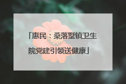 惠民：桑落墅镇卫生院党建引领送健康