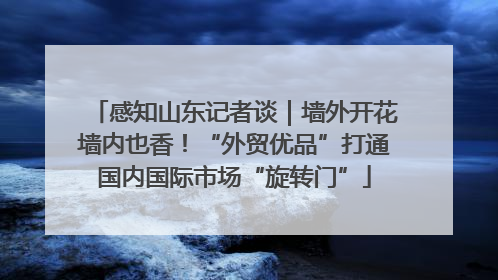 感知山东记者谈｜墙外开花墙内也香！“外贸优品”打通国内国际市场“旋转门”