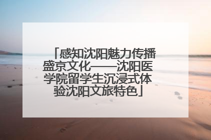 感知沈阳魅力传播盛京文化——沈阳医学院留学生沉浸式体验沈阳文旅特色