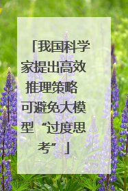 我国科学家提出高效推理策略 可避免大模型“过度思考”