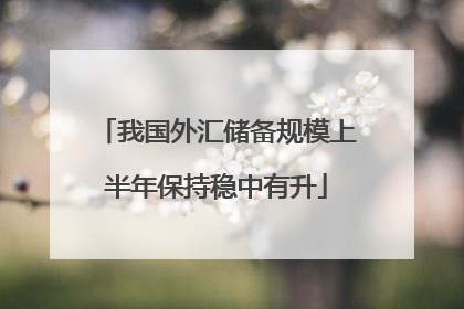 我国外汇储备规模上半年保持稳中有升