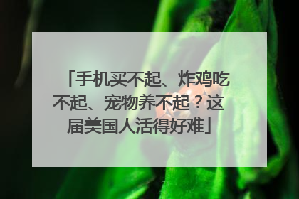 手机买不起、炸鸡吃不起、宠物养不起？这届美国人活得好难