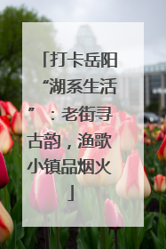 打卡岳阳“湖系生活”：老街寻古韵，渔歌小镇品烟火