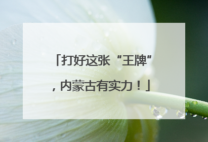 打好这张“王牌”，内蒙古有实力！