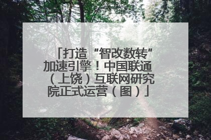 打造“智改数转”加速引擎！中国联通（上饶）互联网研究院正式运营（图）