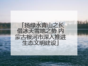 扬绿水青山之长 借冰天雪地之势 内蒙古根河市深入推进生态文明建设