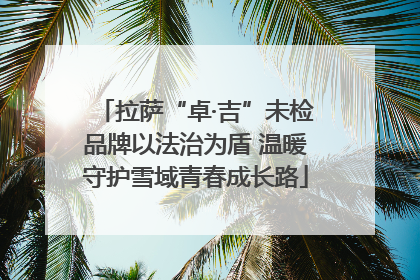拉萨“卓·吉”未检品牌以法治为盾 温暖守护雪域青春成长路