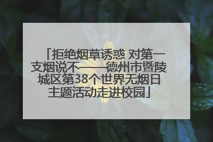 拒绝烟草诱惑 对第一支烟说不——德州市暨陵城区第38个世界无烟日主题活动走进校园