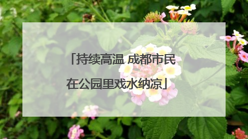 持续高温 成都市民在公园里戏水纳凉