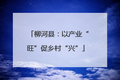 柳河县：以产业“旺”促乡村“兴”