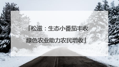 松滋：生态小番茄丰收 绿色农业助力农民增收