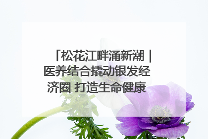 松花江畔涌新潮｜医养结合撬动银发经济圈 打造生命健康产业新样本