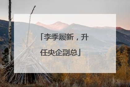 李季履新，升任央企副总