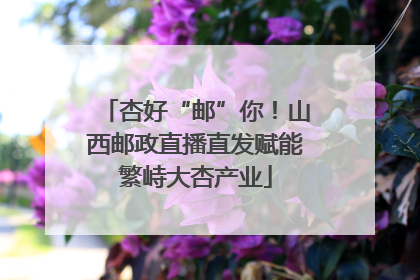 杏好“邮”你！山西邮政直播直发赋能繁峙大杏产业