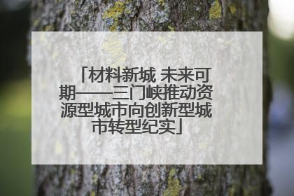 材料新城 未来可期——三门峡推动资源型城市向创新型城市转型纪实