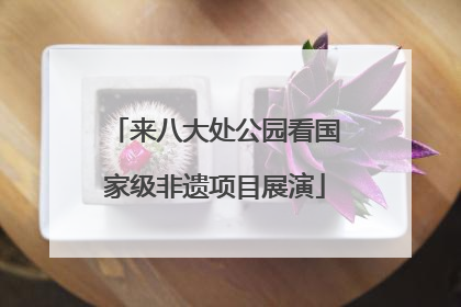 来八大处公园看国家级非遗项目展演