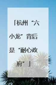 杭州“六小龙”背后是“耐心政府”