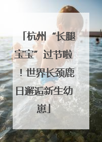 杭州“长腿宝宝”过节啦！世界长颈鹿日邂逅新生幼崽