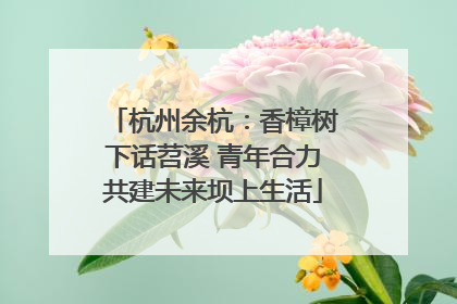 杭州余杭：香樟树下话苕溪 青年合力共建未来坝上生活