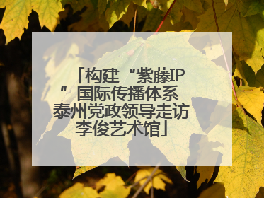 构建“紫藤IP”国际传播体系 泰州党政领导走访李俊艺术馆