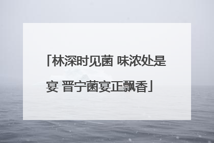 林深时见菌 味浓处是宴 晋宁菌宴正飘香