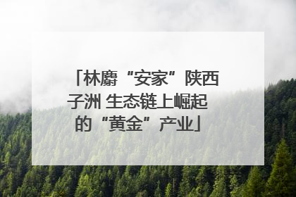 林麝“安家”陕西子洲 生态链上崛起的“黄金”产业