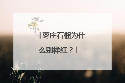 枣庄石榴为什么别样红？