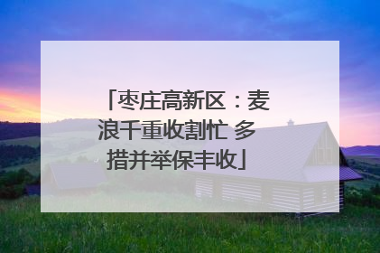 枣庄高新区：麦浪千重收割忙 多措并举保丰收