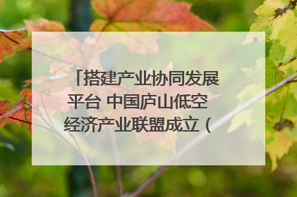 搭建产业协同发展平台 中国庐山低空经济产业联盟成立（组图｜视频）