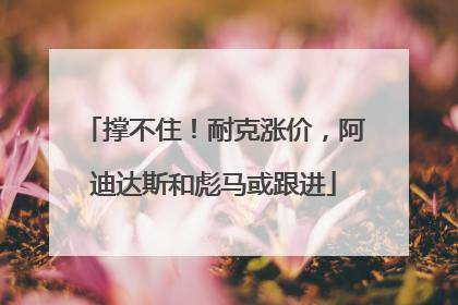 撑不住！耐克涨价，阿迪达斯和彪马或跟进