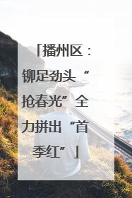 播州区：铆足劲头“抢春光”全力拼出“首季红”