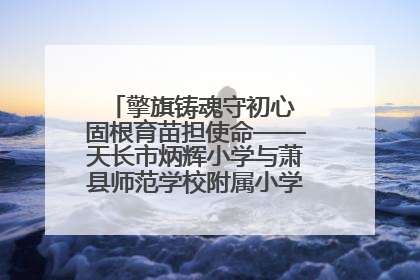 擎旗铸魂守初心 固根育苗担使命——天长市炳辉小学与萧县师范学校附属小学结对共建活动纪实
