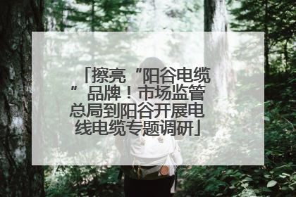 擦亮“阳谷电缆”品牌！市场监管总局到阳谷开展电线电缆专题调研