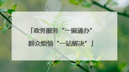 政务服务“一窗通办” 群众烦恼“一站解决”