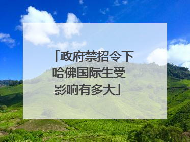 政府禁招令下 哈佛国际生受影响有多大