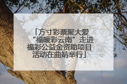 方寸彩票聚大爱 “福暖彩云南”走进福彩公益金资助项目活动在曲靖举行