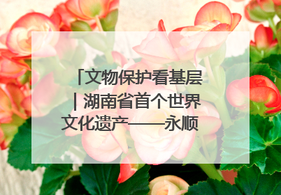 文物保护看基层｜湖南省首个世界文化遗产——永顺老司城遗址