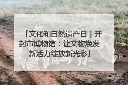 文化和自然遗产日｜开封市博物馆：让文物焕发新活力绽放新光彩